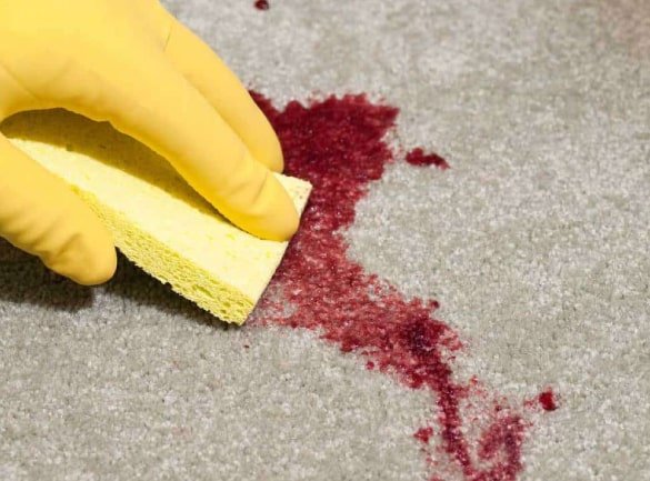 Carpet Cleaning